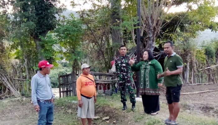 Babinsa Desa Rhee Loka Dampingi Kepala Dinas Pertanian dalam Peninjauan Titik Irpom dan Lahan di Kecamatan Rhee